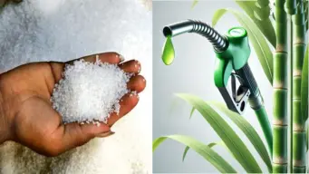 ইথানলের চাপে চিনির বাজারে আগুন! প্রায় ১০ বছর পর চিনি আমদানির পথে ভারত, বড় সিদ্ধান্ত মোদি সরকারের