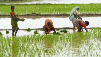 Ample fertilizer stocks cushion India against war-driven supply risks