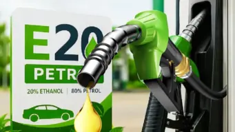E20 Petrol: શું ઇથેનોલવાળા પેટ્રોલથી ગાડીના એન્જિન ખરાબ થાય? IIT કાનપુરના અભ્યાસમાં થયો ખુલાસો