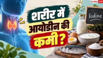 Iodine Deficiency: आयोडीन की कमी से हैं परेशान? डाइट में शामिल करें ये 4 चीजें