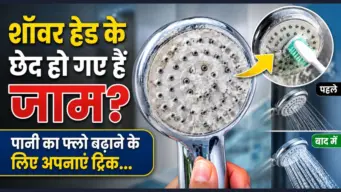 बेकिंग सोडा​​ या सिरका नहीं, शॉवर के छोटे-छोटे छेदों में जमी चूने जैसी सफेद परत को साफ करने के लिए अपनाएं ये तरीका