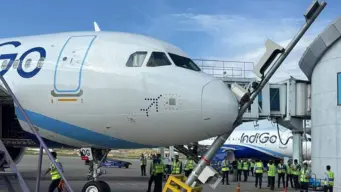 IndiGo Flight Hits Pole at Srinagar Airport (VIDEO)