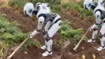Viral Video : விவசாயம் செய்யும் மனித ரோபோட்.. இணையத்தை அதிர்ச்சிக்கு உள்ளாக்கிய வீடியோ!