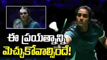 ప్రపంచ బ్యాడ్మింటన్ ఛాంపియన్‌షిప్: పావురాలు.. కోతుల బెడదకు చెక్ పెట్టేలా.. !