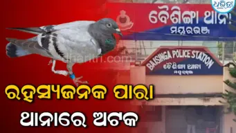 ରହସ୍ୟଜନକ ପାରା ଥାନାରେ ଅଟକ: ବାଂଲାଦେଶରୁ ଆସିଥିବା ସନ୍ଦେହ