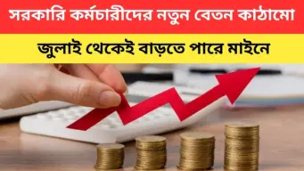 9th Pay Scale: সরকারি কর্মচারীদের নতুন পে স্কেল চালু, বেতন বাড়বে সর্বোচ্চ ১৩৫ শতাংশ পর্যন্ত