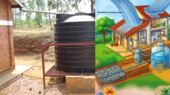 மழைநீர் சேகரிப்பு: ஒவ்வொரு வீட்டிற்கும் ஏன் கட்டாயத் தேவையாகிறது?