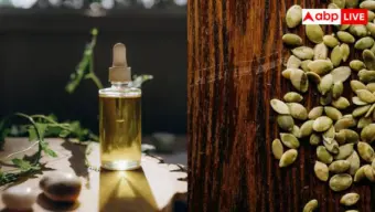 Pumpkin Seed Oil Tips: घर में बनाना चाहते हैं कद्दू के बीज के तेल, जान लें बालों को बढ़ाने वाले ये सीक्रेट टिप्स