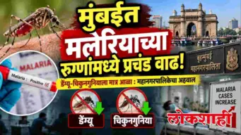 मुंबईत मलेरियाच्या रुग्णांमध्ये प्रचंड वाढ!
