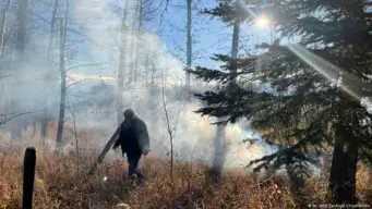 Fighting wildfires: Why one strategy won't fit all forests