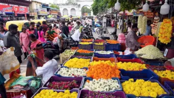 News in Pics | August 26, 2026: Best photos from around the world