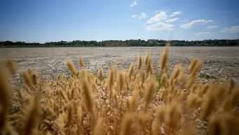 'Scorching, dry summers': Heat rather than lack of rain is now to blame for Europe's droughts