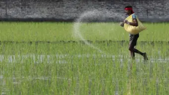 Strait of Hormuz reopening eases fertiliser worries in India, but August is key