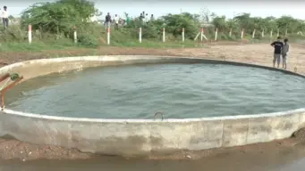 Gujarat Well Water : బావిలో నీరు.. సముద్రపు అలల్లా.. బ్రహ్మంగారి కాలజ్ఞానం నిజమవుతోందా..