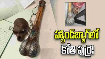 ఢిల్లీ ఎయిర్‌పోర్ట్‌లో కలకలం.. ప్రయాణికుడి హ్యాండ్‌బ్యాగ్‌లో కోతి పుర్రె!
