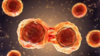 AI will cure cancer within our generation, says Arm CEO