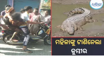 ପାଣିରେ ପାଦ ଦେଉ ଦେଉ ମହିଳାଙ୍କୁ ଟାଣିନେଲା ବଉଳା କୁମ୍ଭୀର, ଏକ କିଲୋମିଟର ଦୂରରେ ଘଟିଲା.....