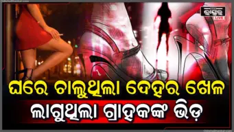 ୩ ଦେହଜୀବୀ ଉଦ୍ଧାର; ରାଣୀ ମହୁମାଛି ସମେତ ୩ ଗିରଫ