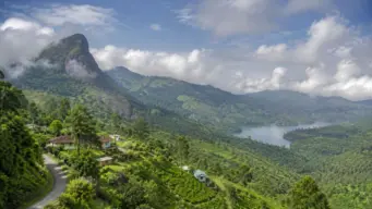 বারান্দা থেকে দেখা যাবে কাঞ্চনজঙ্ঘা, পুজোয় যাবেন নাকি অফবিট জায়গা বাদামতাম, রংভং, লুংচু ?