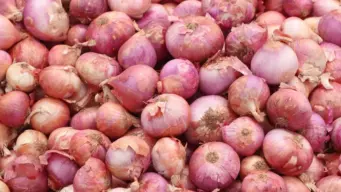 Government Measures Fail As Onion Prices Surge To Rs 80 Per Kg Nationwide | Check State-Wise Rates