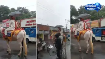 इंदौर में अनोखी बारात, अकेले घोड़ी पर निकला दूल्हा