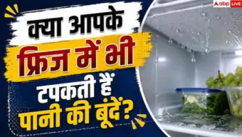 Fridge Maintenance: फ्रिज में पानी जमा होने से हैं परेशान? ऐसे करें मिनटों में ठीक
