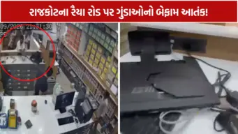 'તું મને ઓળખતો નથી'ની ધમકી બાદ 6 લુખ્ખા ત્રાટક્યા, મેડિકલ સ્ટોરમાં ભારે તોડફોડ