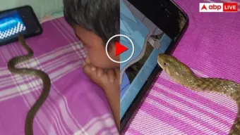 Video: सांप के साथ कार्टून के मजे लेता दिखा बच्चा, फिर पकड़कर ऐसे उठाया जैसे रस्सी हो- वीडियो वायरल