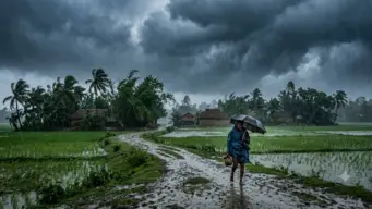 Weather Alert: অর্ণব আসুক বা না আসুক, কলকাতা-সহ বঙ্গজুড়ে দুর্যোগের ঘনঘটা! কবে কোথায় বৃষ্টি, রইল আপডেট