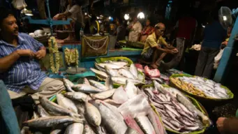 Gujarat Hilsa: বঙ্গের বাজার কাঁপাচ্ছে গুজরাটের ইলিশ!