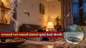 અગરબત્તીની સુગંધ પાછળ છુપાયેલું છે મોટું જોખમ! જાણો મચ્છર કોઈલ અને અગરબત્તીના ધુમાડાથી થતા નુકસાન અને સાવચેતીઓ