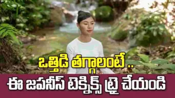 మనసుకు ప్రశాంతత కావాలా? ఈ జపనీస్ టెక్నిక్స్‌ ట్రై చేయండి