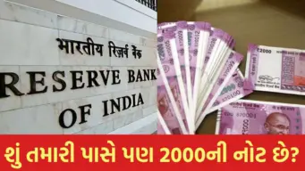 શું તમારા ઘરે હજુ પણ ₹2000ની ગુલાબી નોટ પડી છે? ચિંતા ન કરો, RBIએ લીધો મોટો નિર્ણય