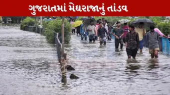 ગુજરાતમાં મેઘરાજાની ધમાકેદાર એન્ટ્રી, 240 તાલુકામાં વરસાદ; વલસાડ-ભરૂચમાં સૌથી વધુ અસર