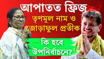 TMC Name-Symbol Freeze: TMC'র নাম ও প্রতীক 'ফ্রিজ' করলো কমিশন, কি হবে উপনির্বাচনে?