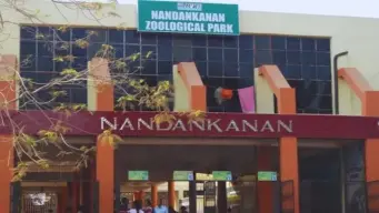 Odisha's Nandankanan May Soon Offer Night-Time Nature Experience