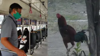 जब बस में सफर कर रहा था मुर्गा, कंडक्टर ने काट दिया 30 रुपए का टिकट, देखें फिर क्या हुआ