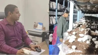 From Software Engineer to Successful Mushroom Farmer: Vikramdev Mohapatra's Inspiring Journey
