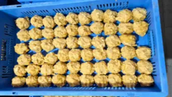 వేములవాడ ఆలయంలో లడ్డూ ప్రసాదం ధరల సవరింపు