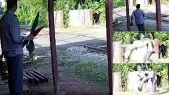 VIDEO: Railway Gatekeeper Risks His Own Life To Save Man Seconds Before Speeding Train Races Past | Dramatic Rescue Caught On Cam