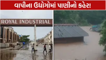 વલસાડમાં પૂર બાદ ભયાનક તારાજી: વાપીના ઉદ્યોગોને કરોડોનું નુકસાન, 90 ઔદ્યોગિક શેડમાં 10 ફૂટ પાણી