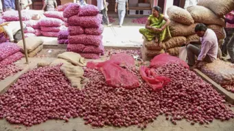 Onion prices soar by around 60%; centre to release supplies from buffer stock