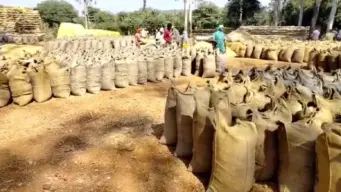 धान बेचने की व्यवस्था में बदलाव : सभी किसानों को एग्री-स्टैक पोर्टल में कराना होगा पंजीयन, सोसाइटी में भी होगा रजिस्ट्रेशन