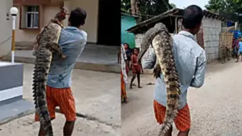 அம்மாடியோ. நெல் வயலில் 4 அடி ராட்சத முதலை. தோளில் சுமந்து சென்ற வாலிபர். உறைந்துபோன நெட்டிசன்கள்.!
