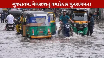 ગુજરાતમાં મેઘતાંડવઃ 193 તાલુકામાં વરસાદ, દક્ષિણ ગુજરાતમાં જળબંબાકારની સ્થિતિ