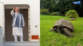 सेशेल्स दौरे में PM की खास मुलाकात, दुनिया के सबसे उम्रदराज कछुए 'जोनाथन' से मिलेंगे