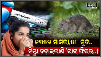ହୁ ହୁ ହୋଇ ବଢ଼ିଲାଣି 'ରାଟ୍ ଫିଭର୍', ଗଲାଣି ୫୩ ମୁଣ୍ଡ, ଚିନ୍ତା ପ୍ରକଟକଲେ ସରକାର, ସତର୍କ ରହିବାକୁ ପରାମର୍ଶ