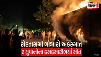 Rohtas Accident : મૂર્તિ વિસર્જન દરમિયાન ટ્રક સાથે ટ્રેક્ટર અથડાતાં 2 યુવાનના મોત