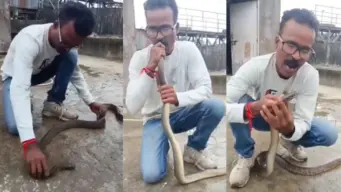 सांप को ही दे दिया CPR, बिना डरे युवक ने मुंह से सांस देकर बचाया जीवन, देखें वीडियो