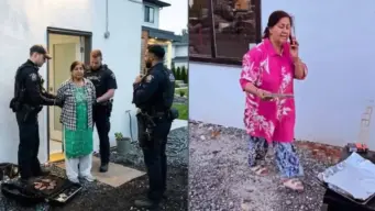 NRI woman throws stones, harasses tenant in Canada; arrested